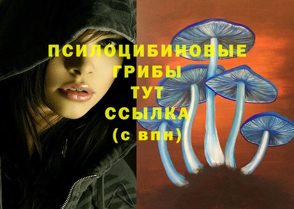 МДМА Россошь