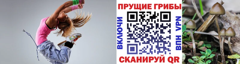 Псилоцибиновые грибы Cubensis  ОМГ ОМГ зеркало  площадка состав  Кириши 